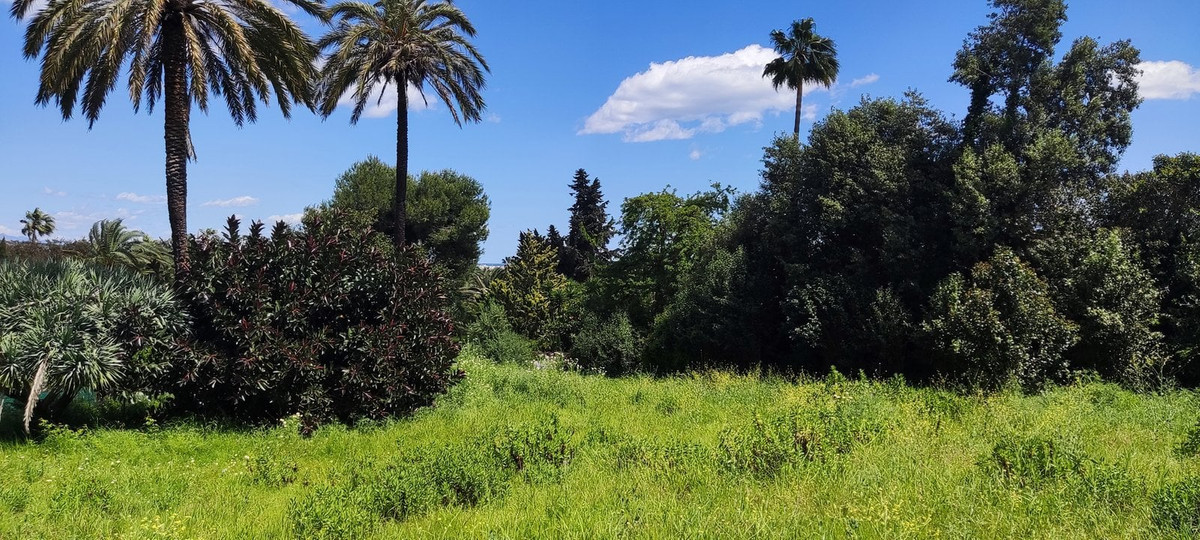 Plots for sale in Sotogrande Costa Del Sol, Cádiz, Spain