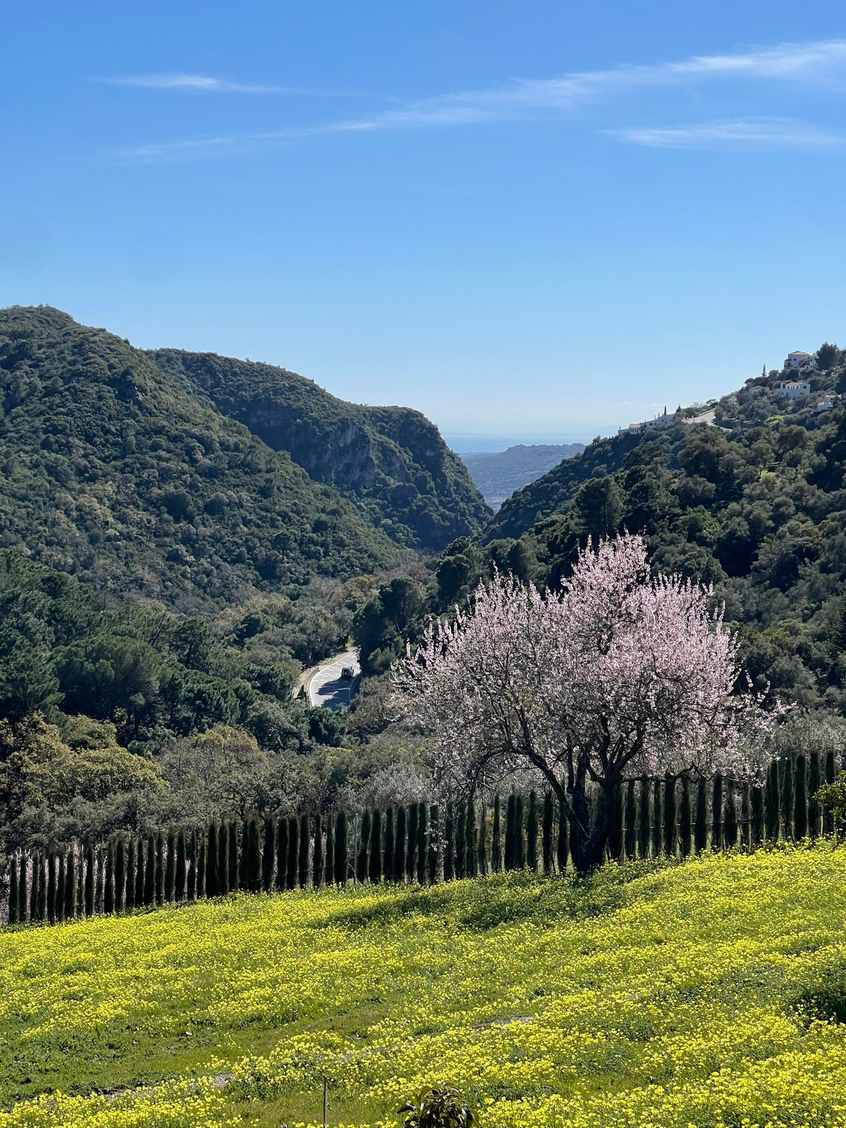 Plots for sale in Casares Costa Del Sol, Málaga, Spain