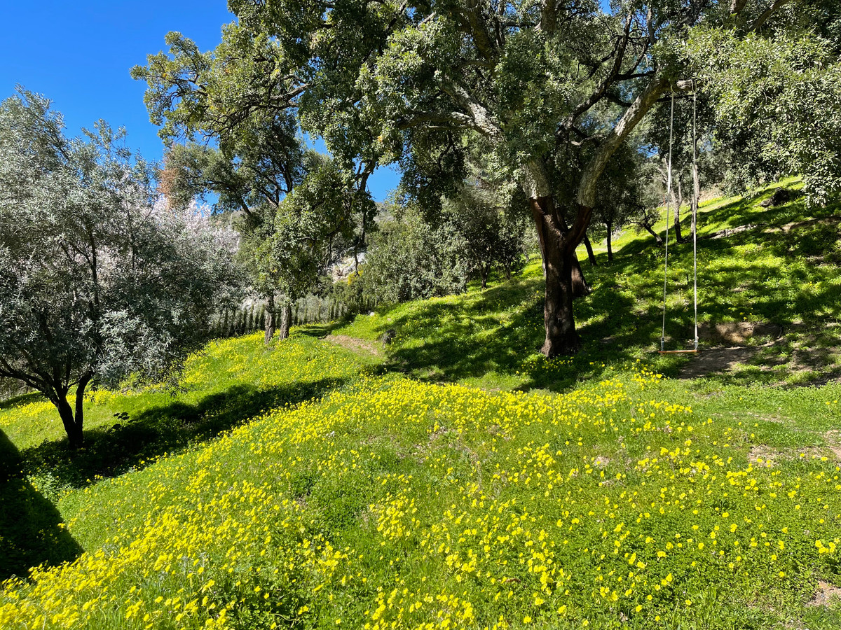 Plots for sale in Casares Costa Del Sol, Málaga, Spain