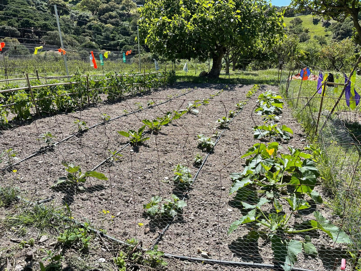 Plots for sale in Casares Costa Del Sol, Málaga, Spain