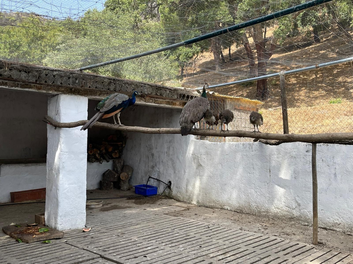 Plots for sale in Casares Costa Del Sol, Málaga, Spain