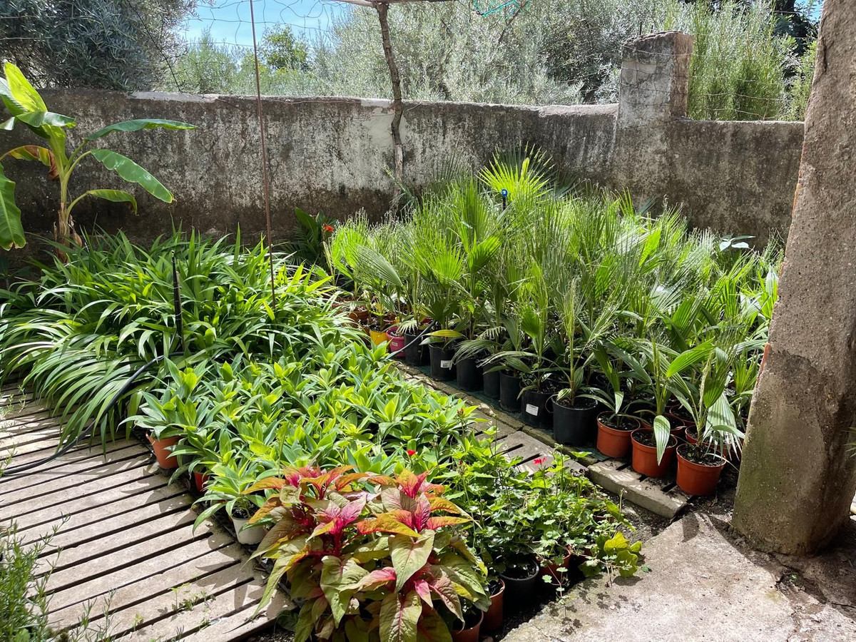 Plots for sale in Casares Costa Del Sol, Málaga, Spain