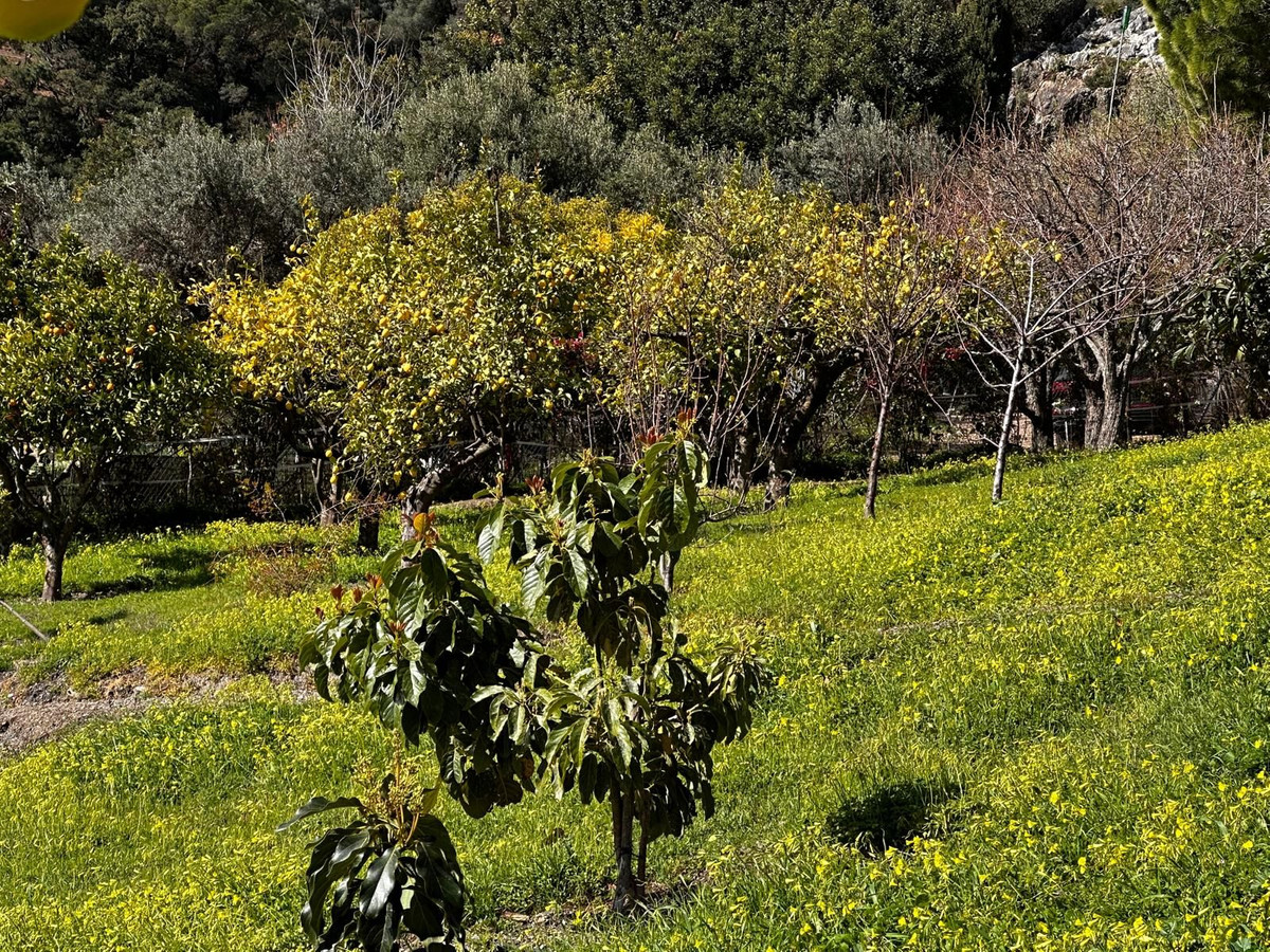 Plots for sale in Casares Costa Del Sol, Málaga, Spain