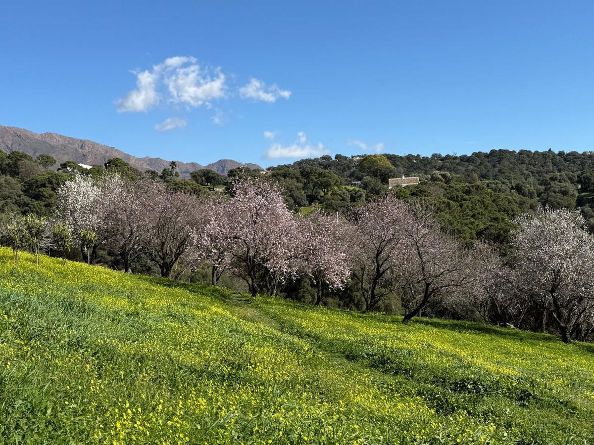 Plots for sale in Casares Costa Del Sol, Málaga, Spain