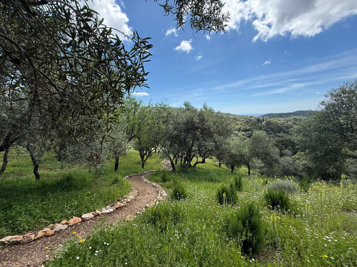 Plots for sale in Casares Costa Del Sol, Málaga, Spain