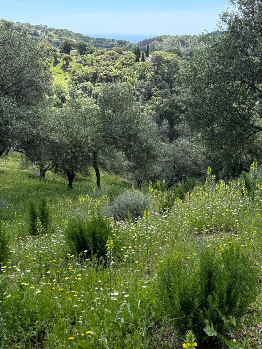 Plots for sale in Casares Costa Del Sol, Málaga, Spain