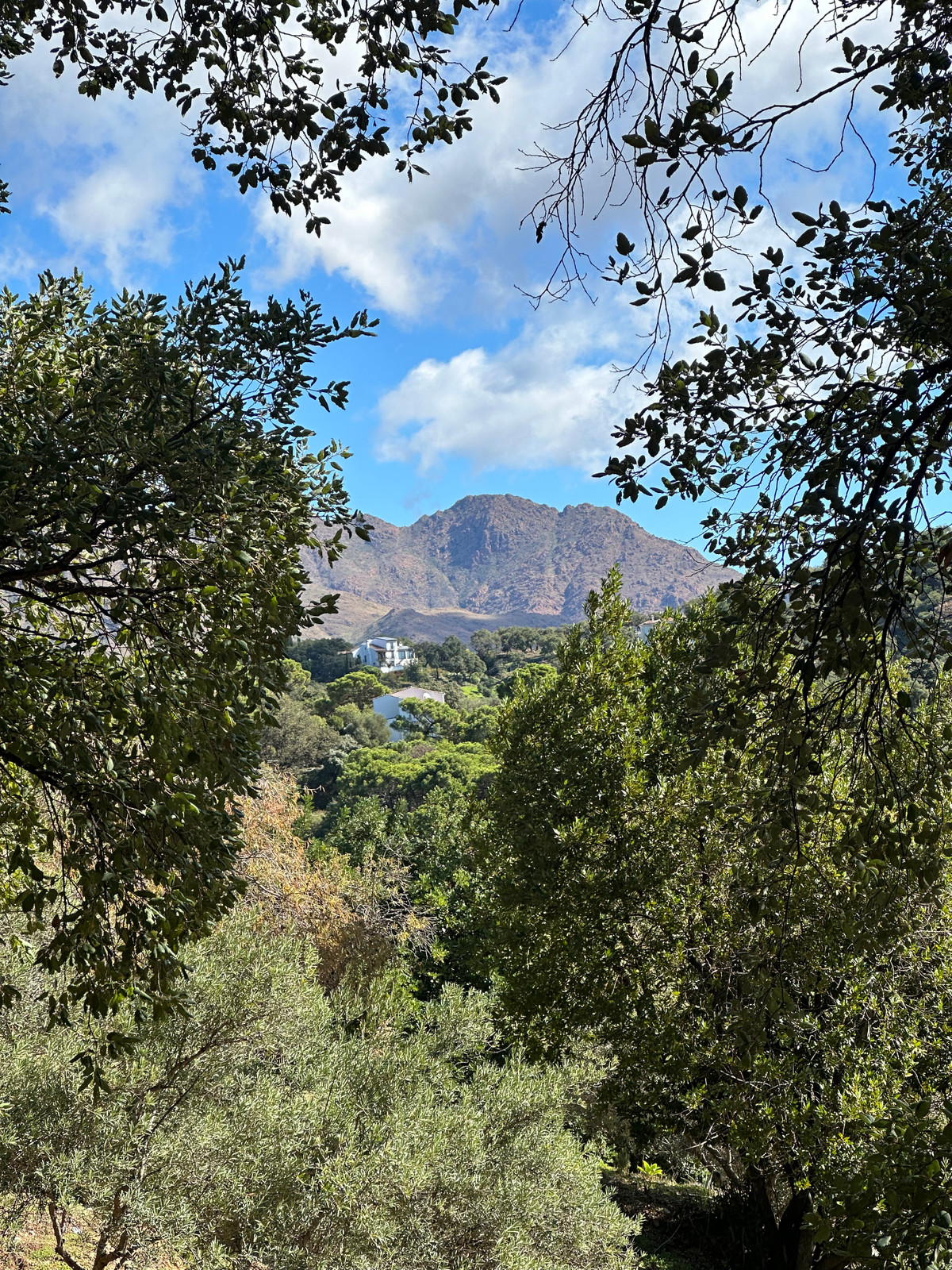 Plots for sale in Casares Costa Del Sol, Málaga, Spain