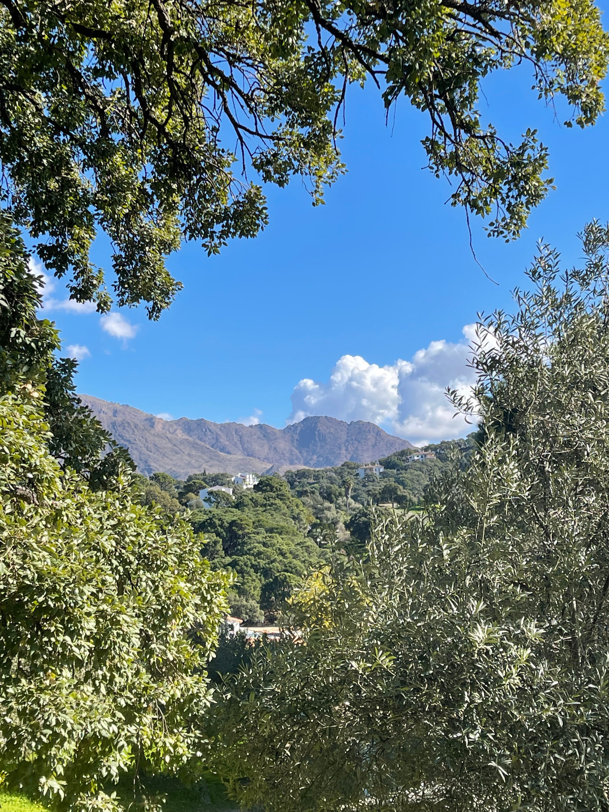 Plots for sale in Casares Costa Del Sol, Málaga, Spain