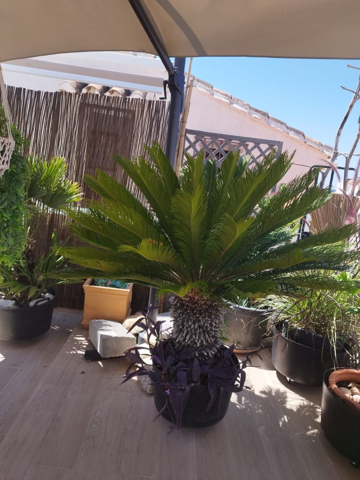 3 Bed Townhouse for sale in Estepona Costa Del Sol, Málaga, Spain