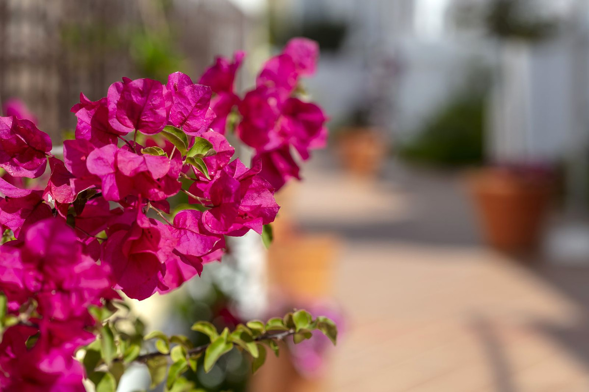 3 Bed Apartment for sale in Nueva Andalucía Costa Del Sol, Málaga, Spain
