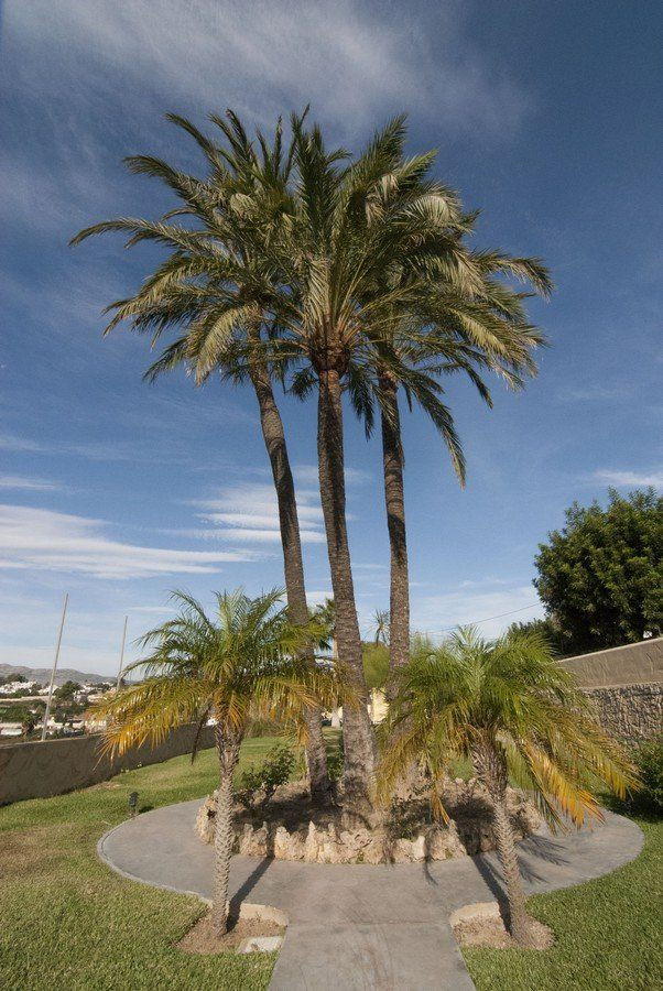 8 Bed Townhouse for sale in Benissa Costa Blanca, Alicante, Spain