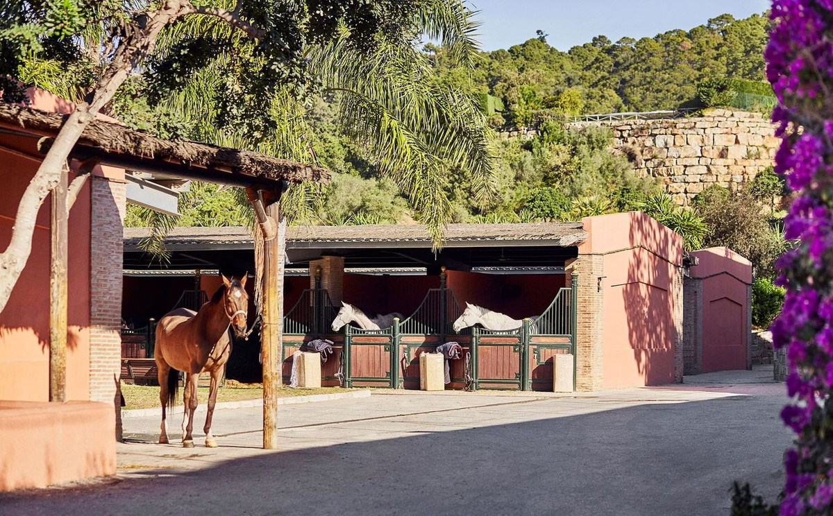 Se vende Terreno Urbano  en Costa Del Sol, Málaga, España