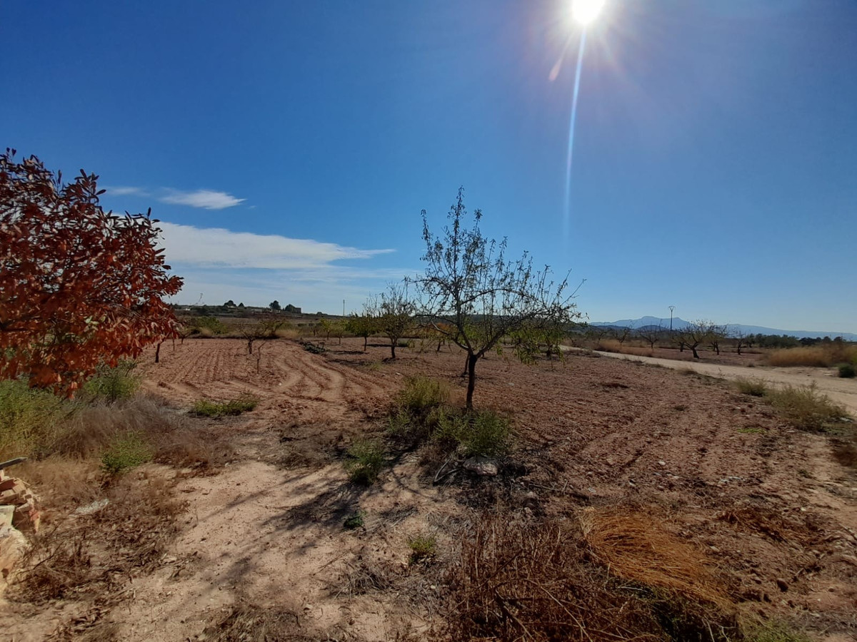 4 Bed Townhouse for sale in Pinoso Costa Blanca, Alicante, Spain