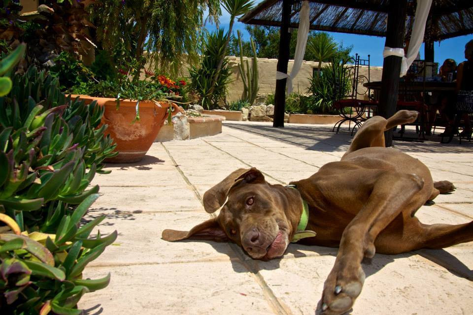 8 Bed Townhouse for sale in Benissa Costa Blanca, Alicante, Spain