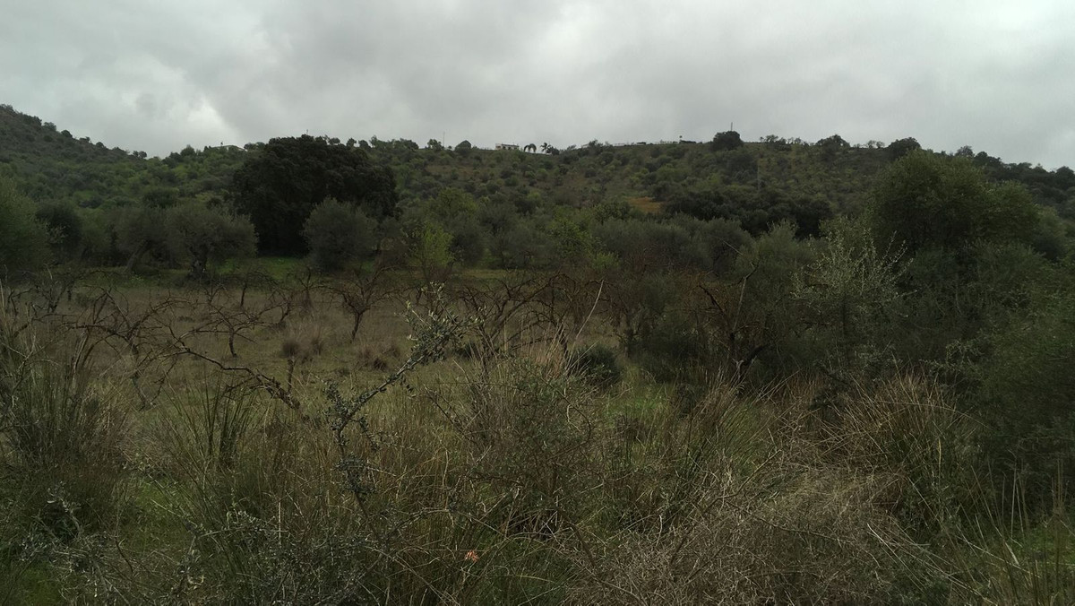Se vende Terreno Rustico  en Costa Del Sol, Málaga, España