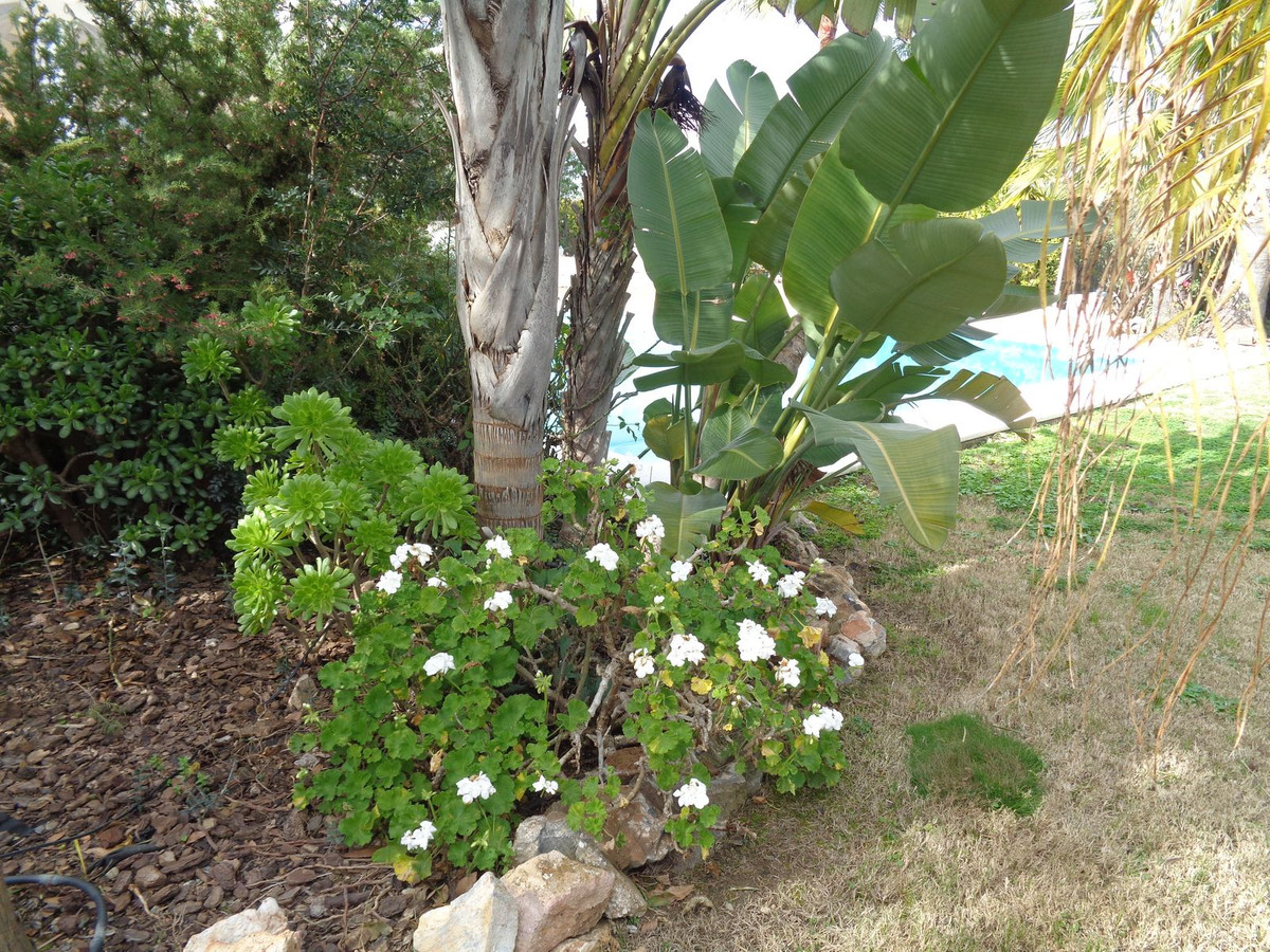 4 Bed Townhouse for sale in Alhaurín De La Torre Costa Del Sol, Málaga, Spain