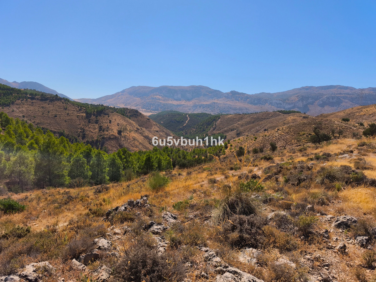 Se vende Terreno Rustico  en Costa Del Sol, Málaga, España