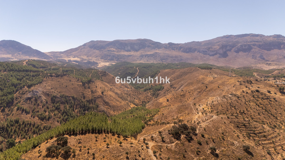 Se vende Terreno Rustico  en Costa Del Sol, Málaga, España