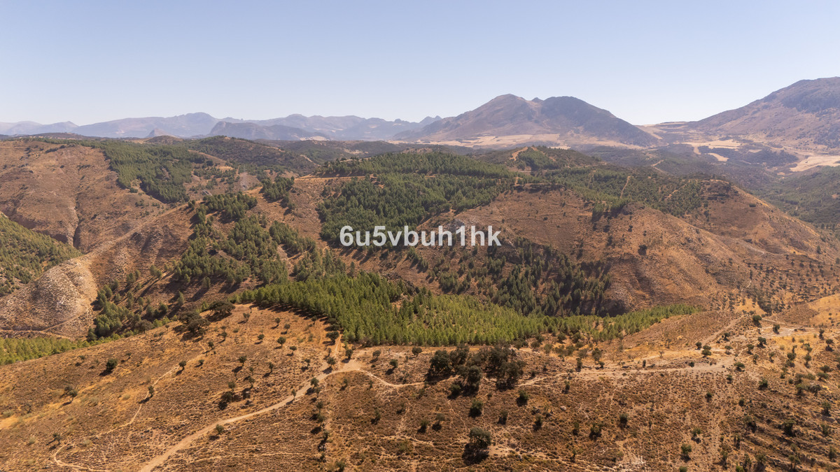 Se vende Terreno Rustico  en Costa Del Sol, Málaga, España