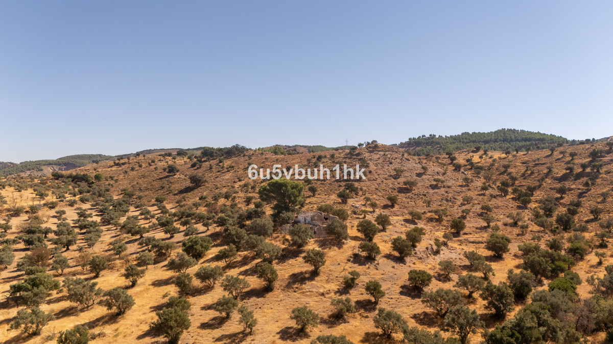Se vende Terreno Rustico  en Costa Del Sol, Málaga, España