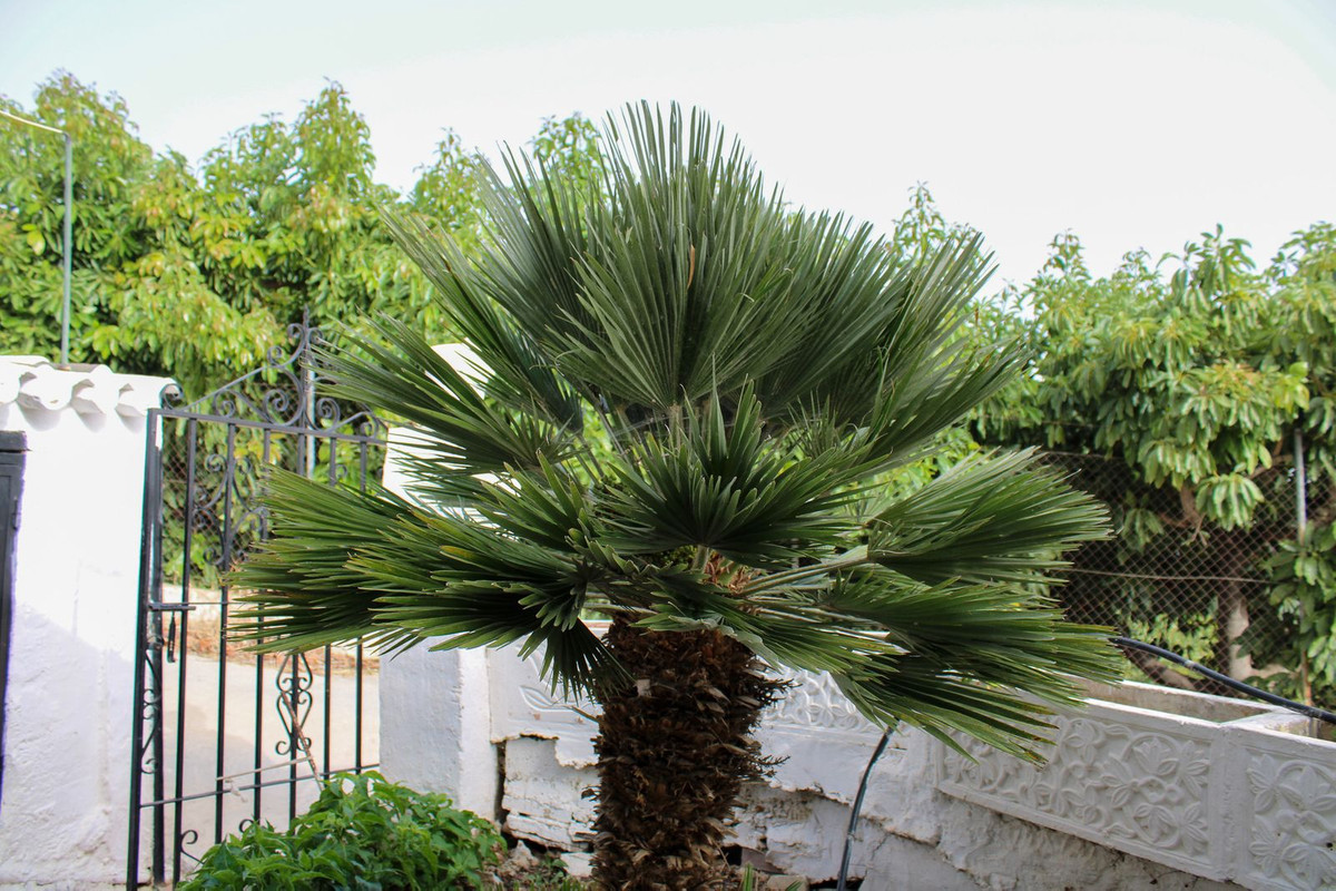 4 Bed Townhouse for sale in Nerja Costa Del Sol East, Málaga, Spain