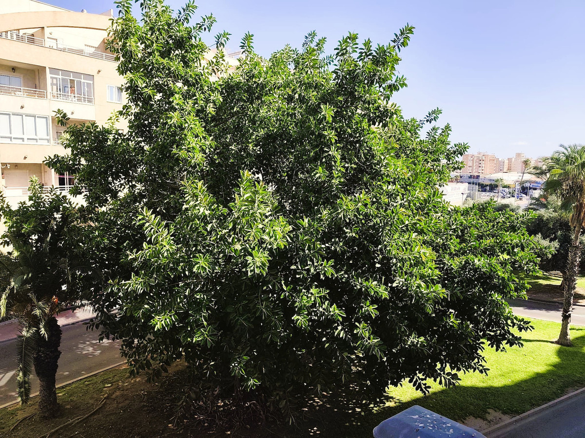 Se vende Apartamento Planta Media de 2 dormitorios en Costa Blanca, Alicante, España