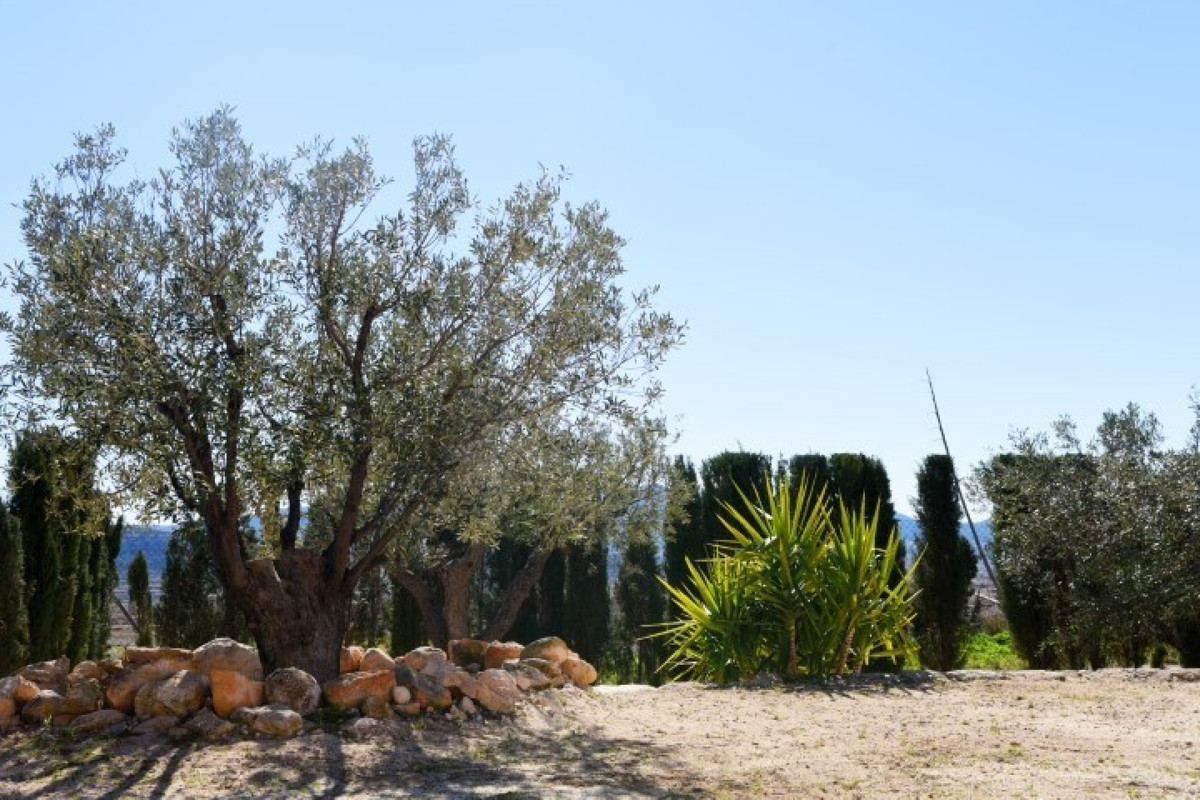 4 Bed Townhouse for sale in Pinoso Costa Blanca, Alicante, Spain