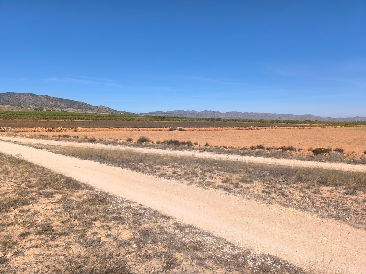Plots for sale in Pinoso Costa Blanca, Alicante, Spain