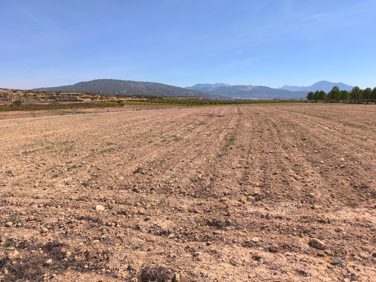 Se vende Terreno Rustico  en Costa Blanca, Alicante, España