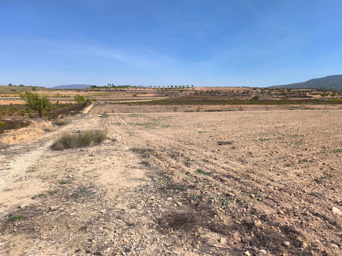 Se vende Terreno Rustico  en Costa Blanca, Alicante, España