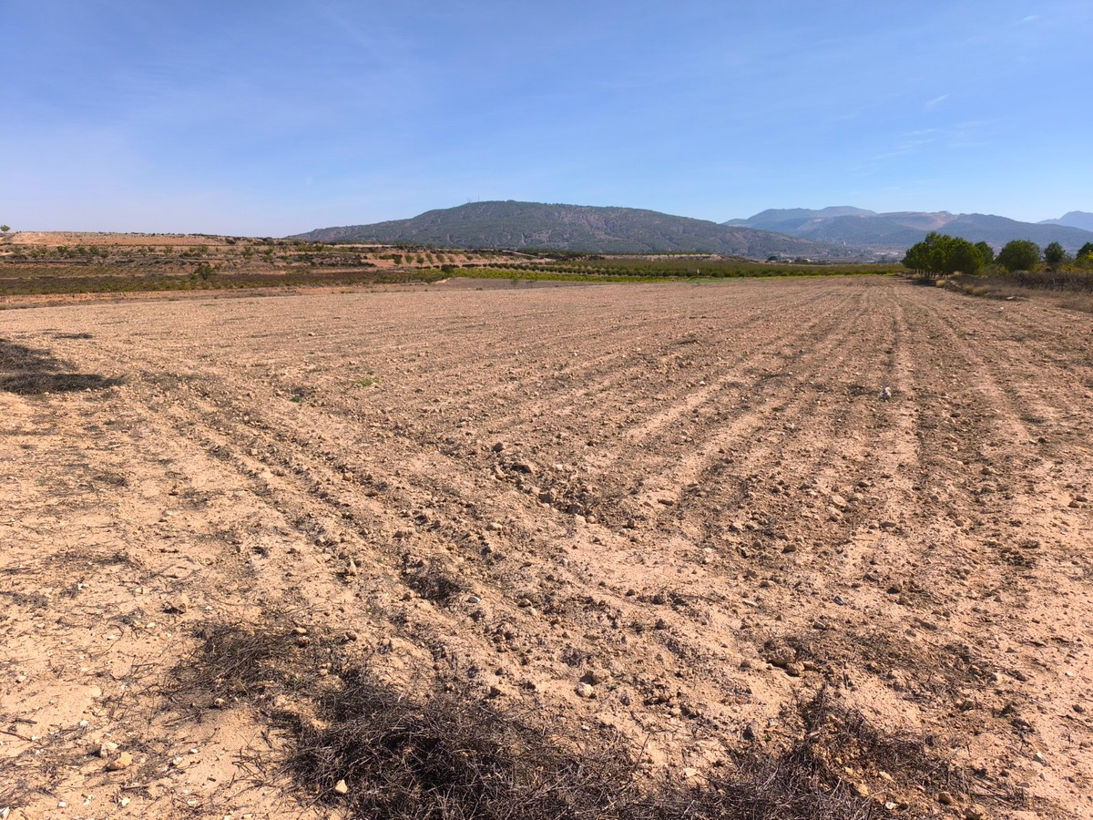 Se vende Terreno Rustico  en Costa Blanca, Alicante, España