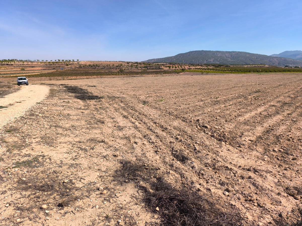 Se vende Terreno Rustico  en Costa Blanca, Alicante, España