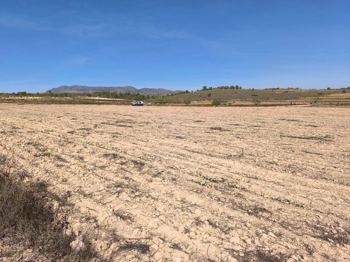 Se vende Terreno Rustico  en Costa Blanca, Alicante, España