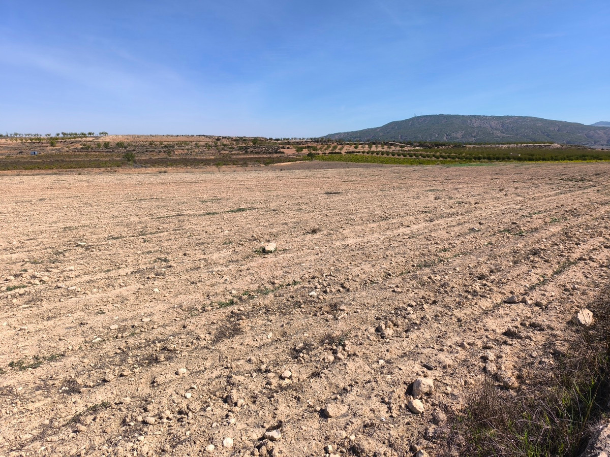 Se vende Terreno Rustico  en Costa Blanca, Alicante, España