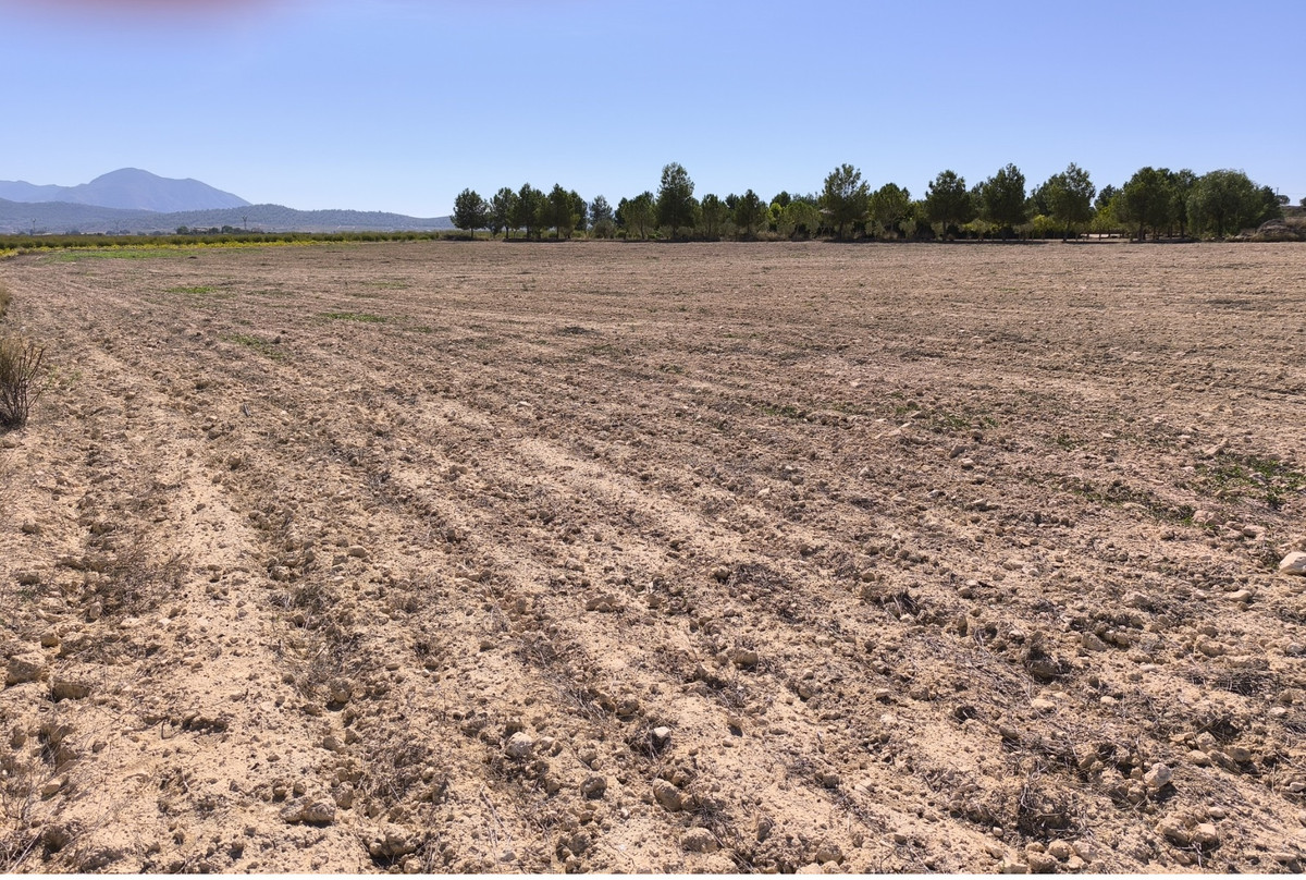 Se vende Terreno Rustico  en Costa Blanca, Alicante, España