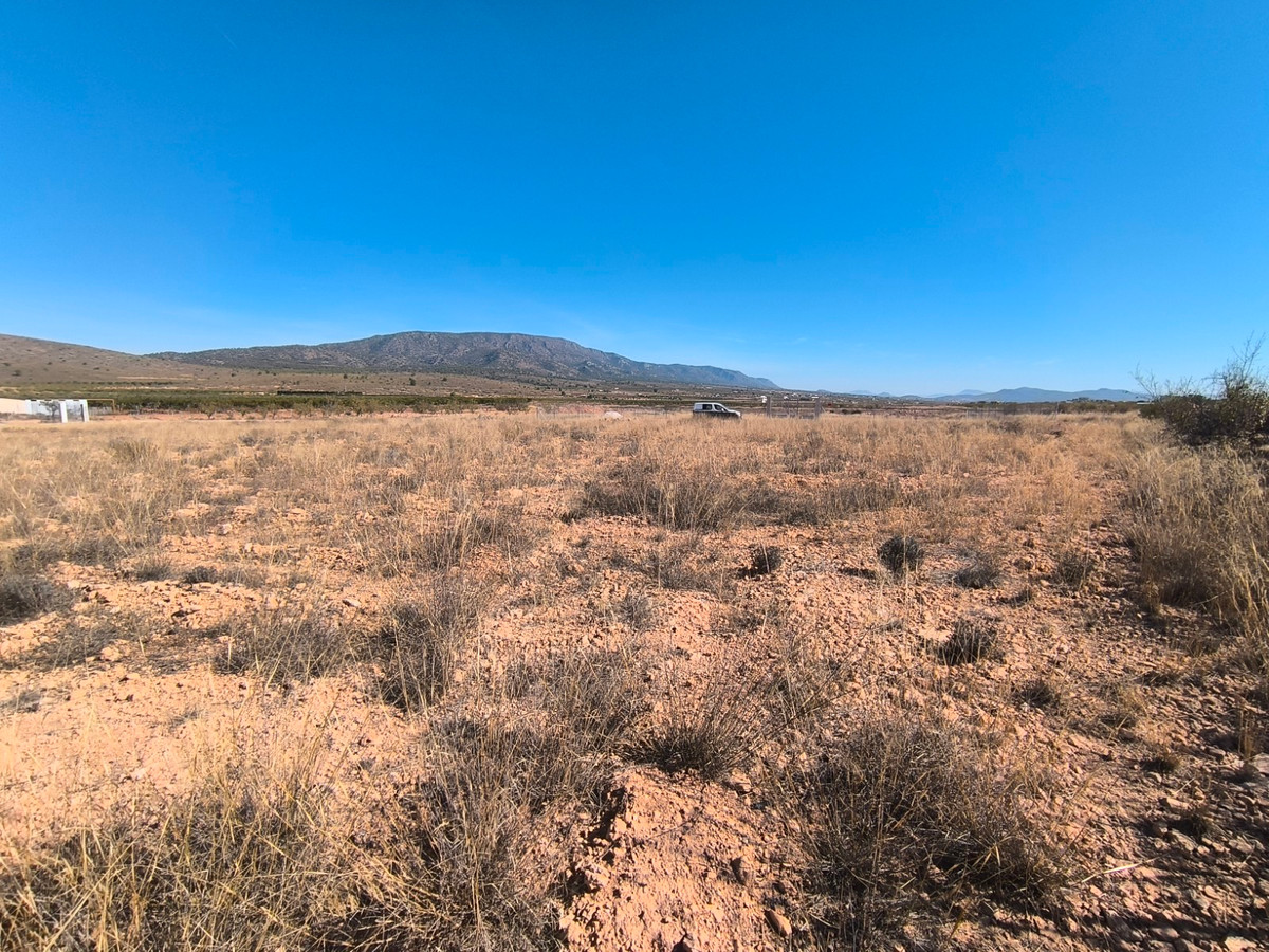 Plots for sale in Pinoso Costa Blanca, Alicante, Spain
