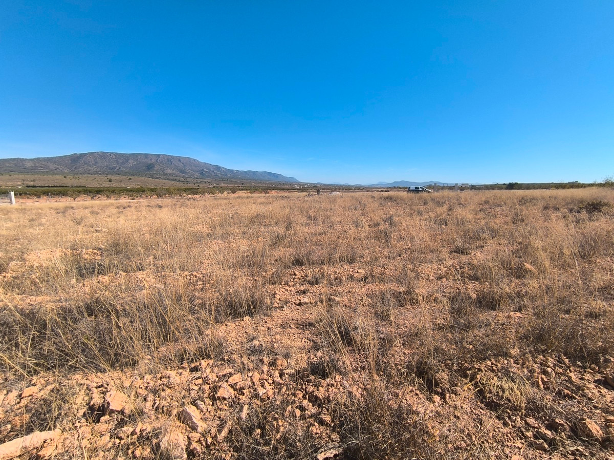 Plots for sale in Pinoso Costa Blanca, Alicante, Spain