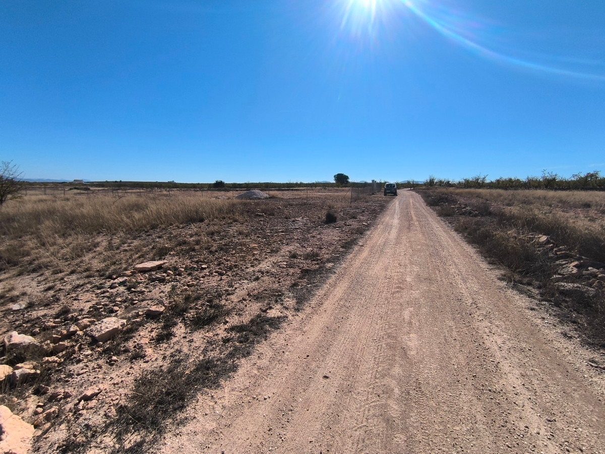 Plots for sale in Pinoso Costa Blanca, Alicante, Spain
