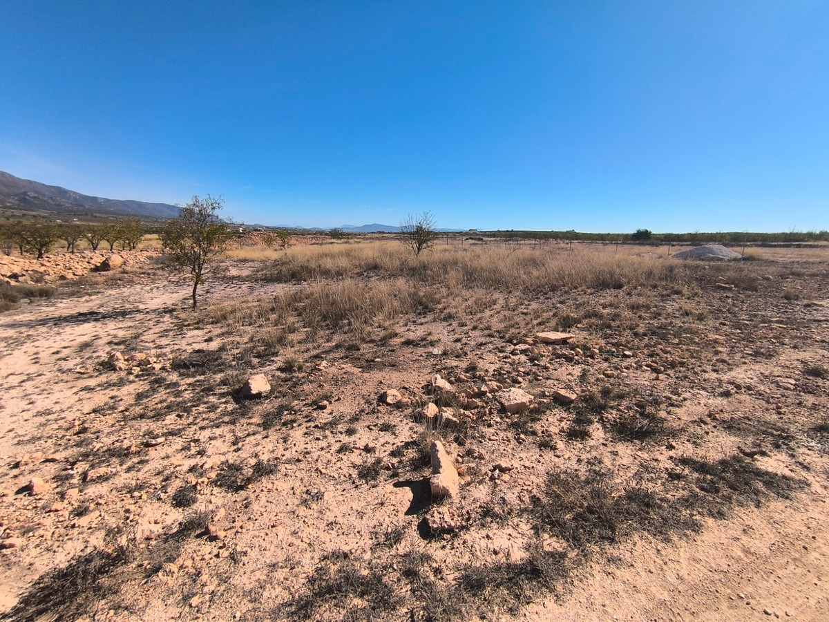 Plots for sale in Pinoso Costa Blanca, Alicante, Spain