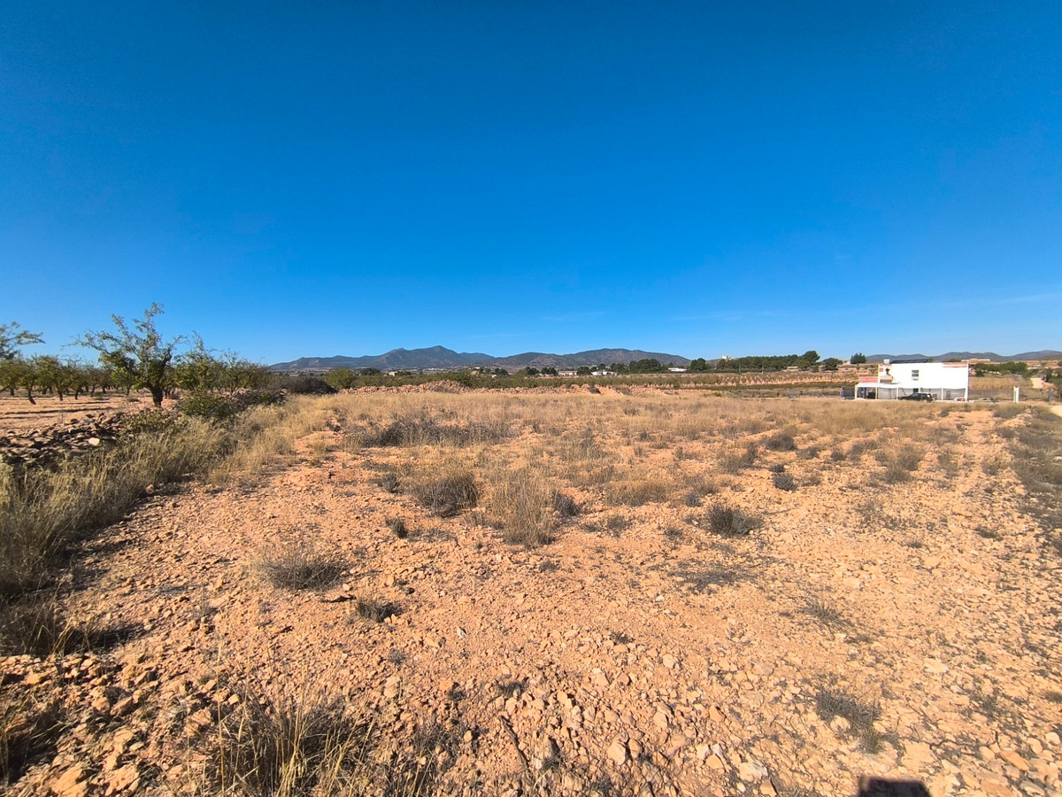 Plots for sale in Pinoso Costa Blanca, Alicante, Spain