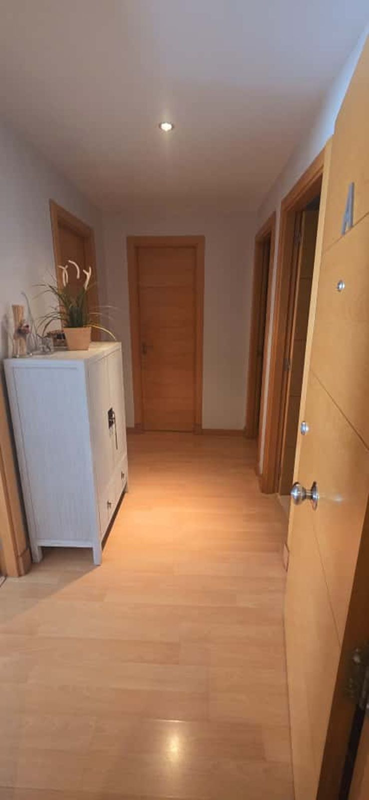 Se vende Apartamento Planta Baja de 2 dormitorios en Málaga Ciudad, Málaga, España