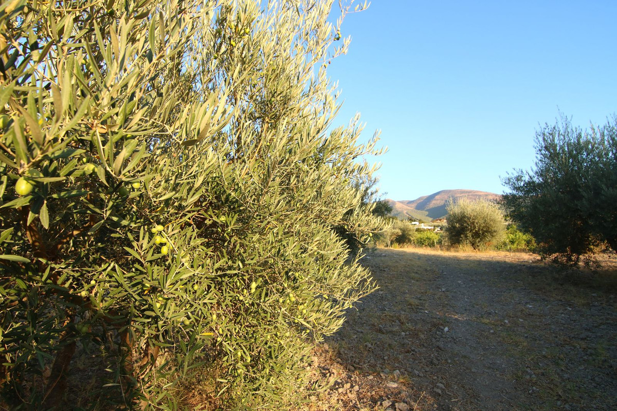 Se vende Villa - Chalet de 1 dormitorios en Costa Del Sol, Málaga, España