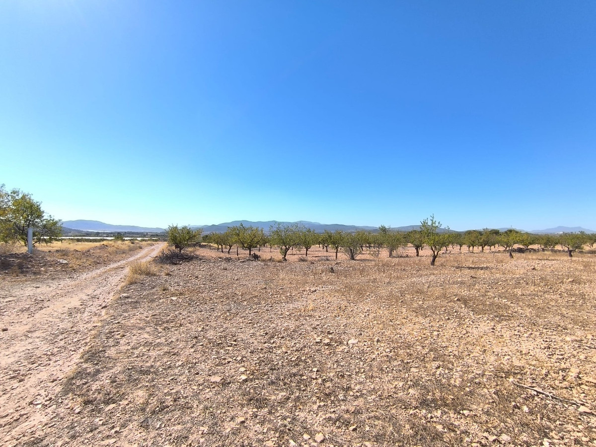 Se vende Terreno Rustico  en Costa Blanca, Alicante, España