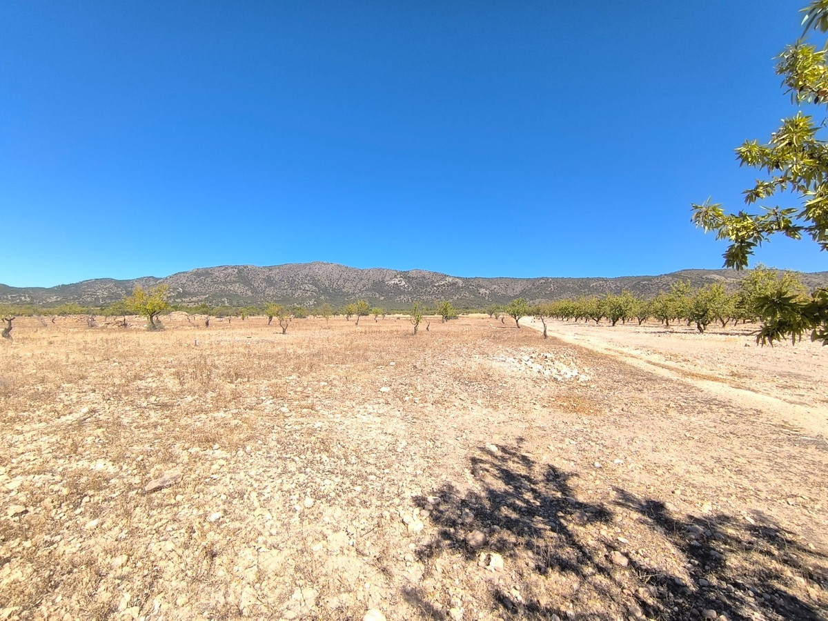 Se vende Terreno Rustico  en Costa Blanca, Alicante, España