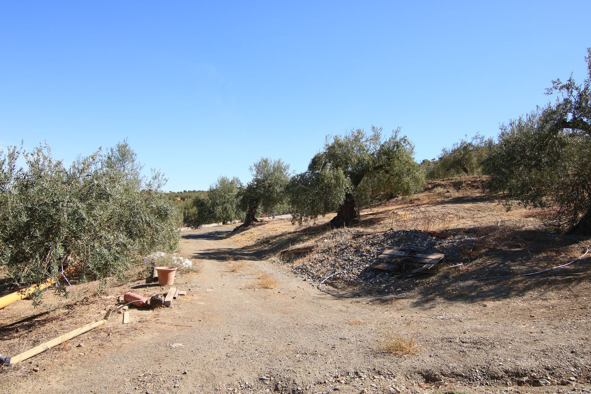 Se vende Terreno Rustico  en Costa Del Sol, Málaga, España