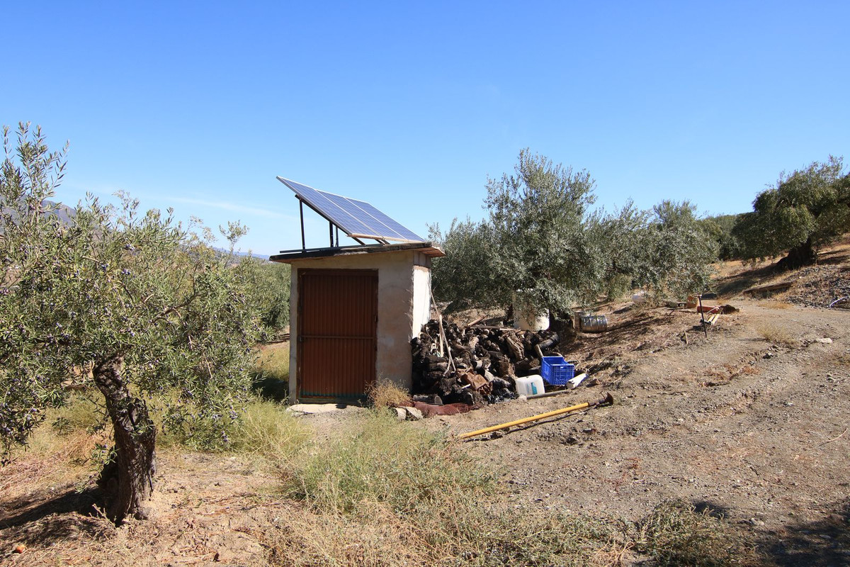 Se vende Terreno Rustico  en Costa Del Sol, Málaga, España