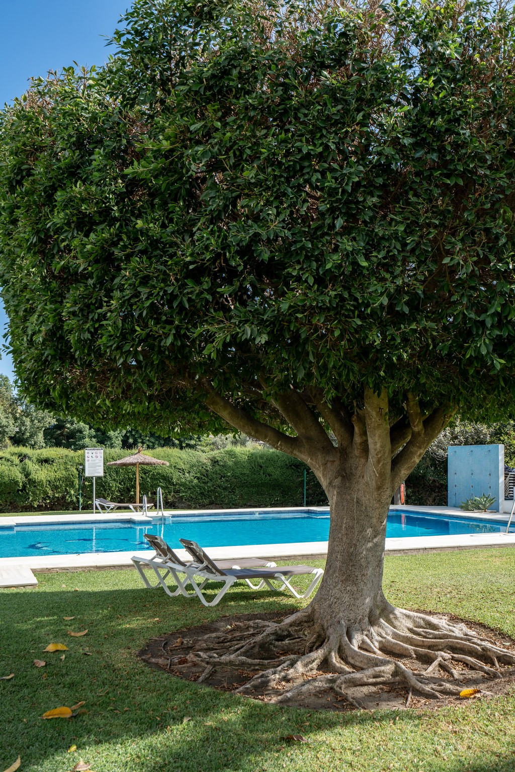 2 Bed Apartment for sale in Guadalmina Alta Costa Del Sol, Málaga, Spain