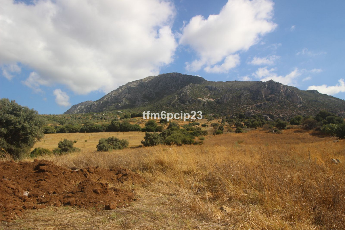 Plots for sale in Casares Costa Del Sol, Málaga, Spain