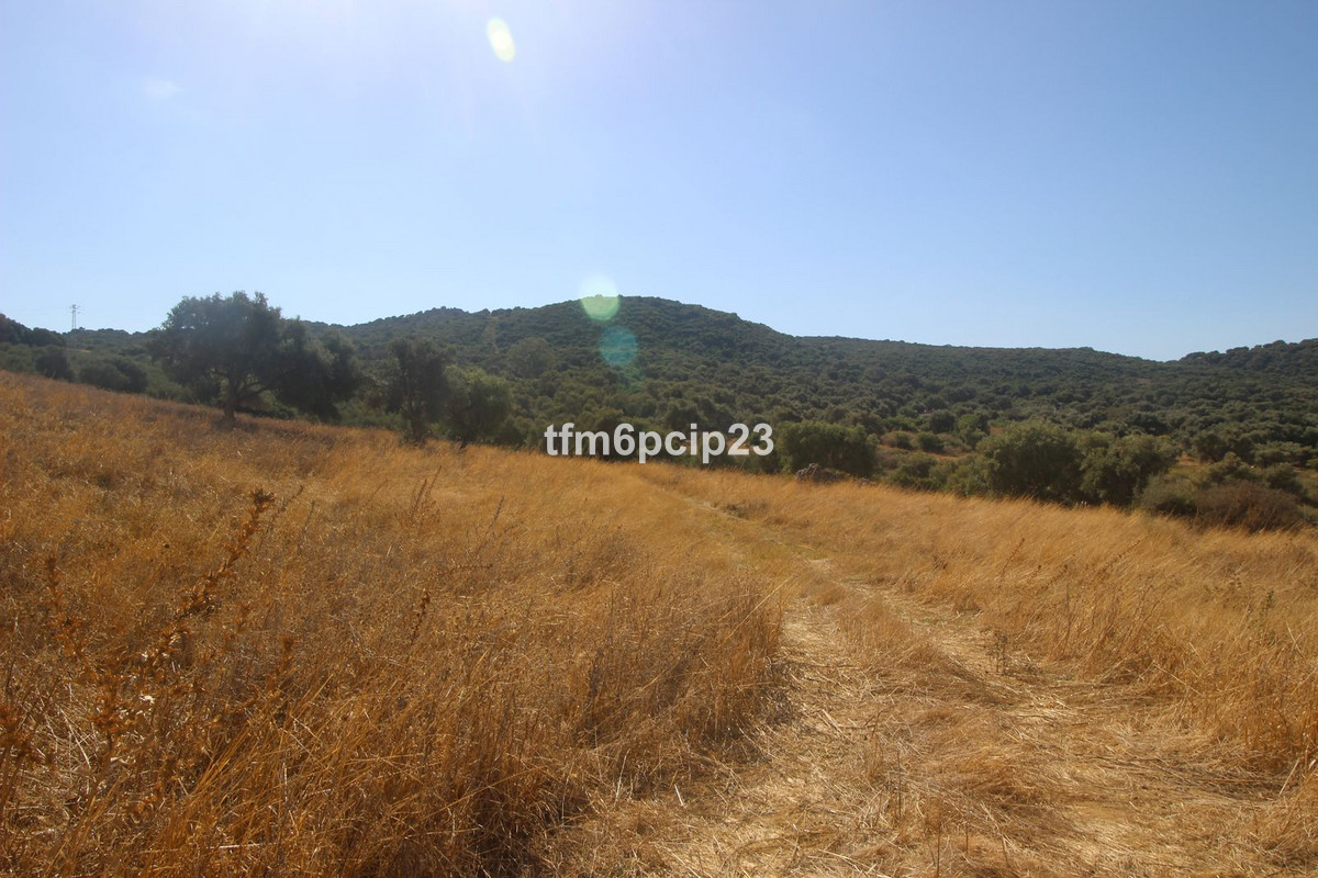 Plots for sale in Casares Costa Del Sol, Málaga, Spain