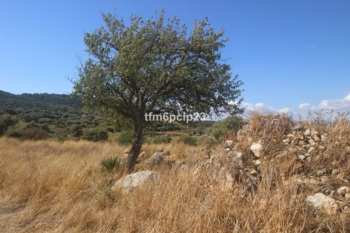 Plots for sale in Casares Costa Del Sol, Málaga, Spain